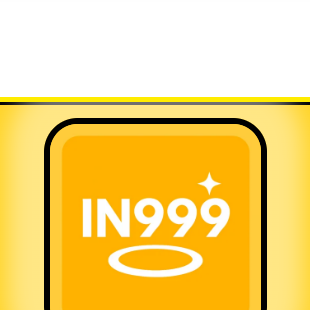 IN999 login guide